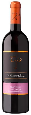 Bottiglia di Pinot Nero Trevenezie Ponte